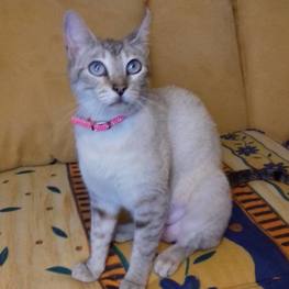 D d2d084f4 ce2e 4665 a1ba abe3aa7d0323