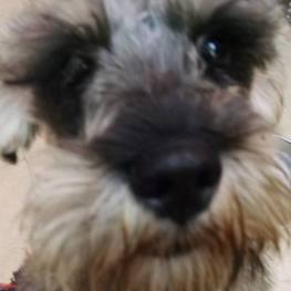 D 5cc7c4b7 8699 46ac 9c21 2fe2fd6a744c