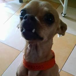 D 6b79821b 286f 4189 ba41 65db11ff2f46