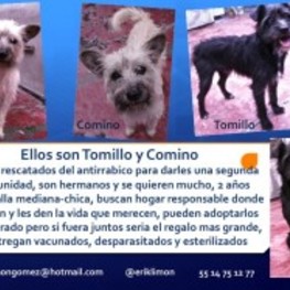 D cac2c834 07a4 4620 bb17 ee90b33e8587