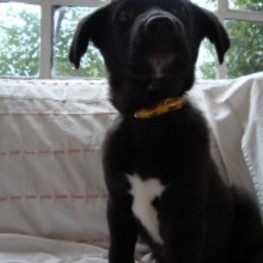 D dbffec6e 77a9 414c a02f e191b000eeb3