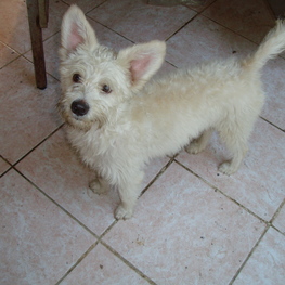 D b307b7ba f3f8 47a9 b78c 306f92fd2891