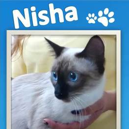 D 449f2756 323e 4e5d a3cb f6f1833314cf