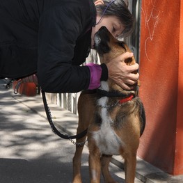 D 02a0adcd 0ab9 4ab2 a37b 083806a8384f