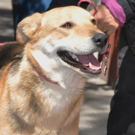 D 3a3fbbc0 3f00 4a11 88fc 44b2bae08a77