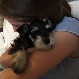 D 781a23b5 6cb5 4b0b 9bb0 c5b735ad64da