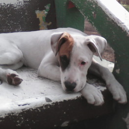 D c987004f b845 4b8e 9675 4359b50d3c78