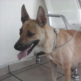 D fe23f89c 7ac7 4b22 a51e 053a62cb0c38