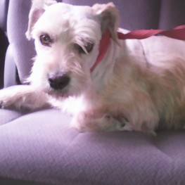 D 52185b37 c2ca 4b2a b9e7 776aef1d4b62