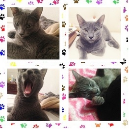 D 9f9231ca 4b54 47ae b06c 3986adc2299b