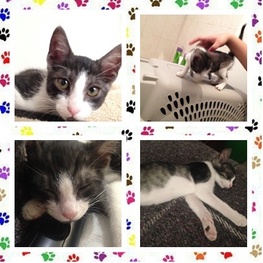 D e40148c5 98b7 452a aa17 30ea052356b1