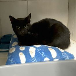 D 1fd4f683 0a86 4fa5 a949 85d8614e0c3f