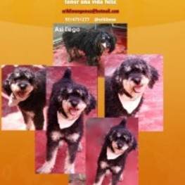 D 3fe8defa ad55 4eb6 b8ea 4352a625fd6f