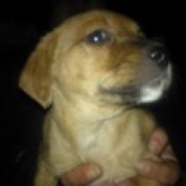 D 1317785e 618a 4344 b21c cf1778fa39b2