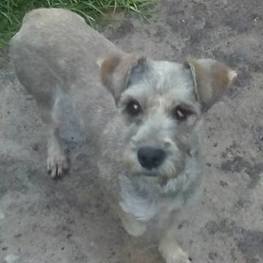 D 7fed8cdc c4b4 476f ba02 6b7844609664