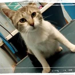 D 414ca3c2 4cdb 48d6 944e fb3f3afd6433