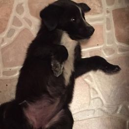 D f5f5a6d1 08aa 443c a43f 388ca8f32d44