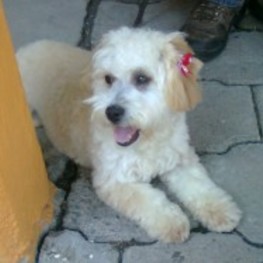 D a78b58f1 6295 44d2 b062 d7174b735d82