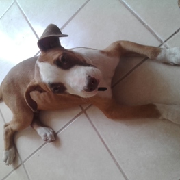 D 68fdac48 bb30 408d 965d 915b202d6eee