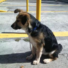 D 23177171 ed55 4770 8e6c 59b3ec6412ec