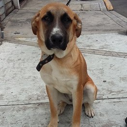 D e8f7ea05 7598 4177 829b a0b6db25c440