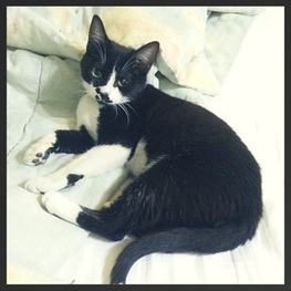 D 32642707 0cb0 4fcb a619 c2e8e30caf8b