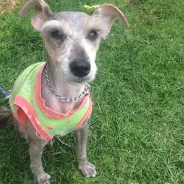 D 66d8de2a 9de4 47d6 a5d7 aa33d7a2ccd2