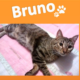 D e608d381 4d18 4ea2 9f45 85888da50bf5