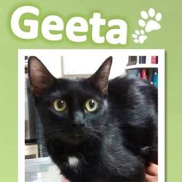 D 0936b240 d8bb 4fe1 ad9e 5b4ff30d0442