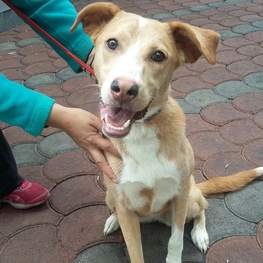 D 9202860f 9142 4cc4 8b37 119e24b587f2