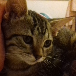 D adb1945c 466b 4688 b2d7 22e61661d8d1