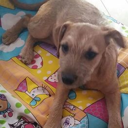 D 7dd0e6cf 1a14 47aa 998b a98f929cf61e