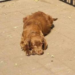 D bde09fb1 9976 48c1 a5f9 24bde3b0ef1c