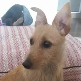 D ff643ba7 476d 4f97 a90b baab558939e6