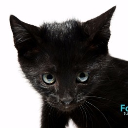 D 213d7e93 aa1a 40fa 83fb c7da0de71b2b