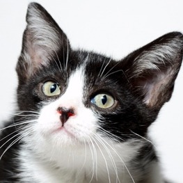 D e56845ee 1039 43de a62e ff53dc936d71