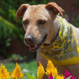 D 8e5b8f40 b679 4f2e bf33 aebad4d29ee0