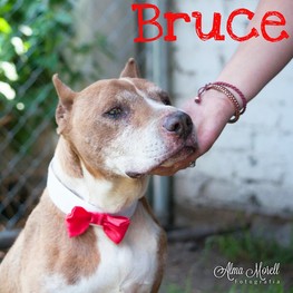 D 41d56084 a598 4f56 bef4 c480b9c875ab