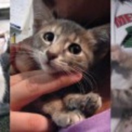 D 031d2194 cf9f 4e8b b765 5cfa27f7c59d