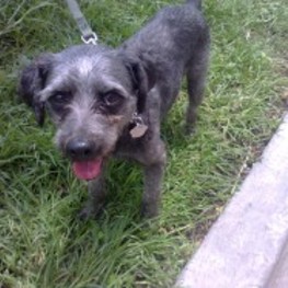 D 20ba2cdd 8107 4cac bc9a 45262fdc5e90