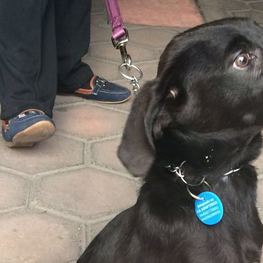 D a1f8d39d 3906 44af bbad 92c5ba001a5b