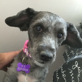 D 1f22a826 c58c 448f b5c6 6138c67dcd47