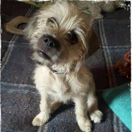 D 85721d51 d71f 41e2 af0b 9dd126a4adb0