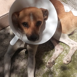 D 39337487 0ed1 4ea4 a6b2 11cea31eb5f2