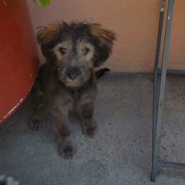 D 1c083850 2f9b 4bcf 9b75 b21acc378137