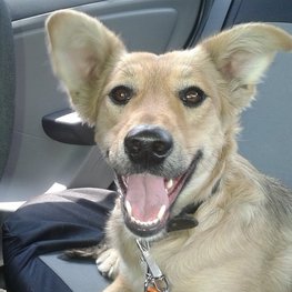 D 0a466b6e 4cce 44b6 ba17 cc20c8c3d099