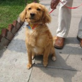 D af08f6c3 21a8 4953 8e3f cfab9dead7b9