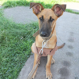 D 5e402fcb 5fb0 4f2f a6ce fa3c89492435