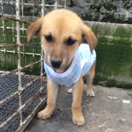 D c162a442 8726 4423 b4df 2e41ab0f999a