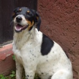 D 4d61800a 859d 44e4 8dfe 90ad1ccc543f